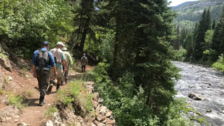 Red Carpet Dilemma (1280 x 720)