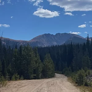 Website Images (1280 x 720)